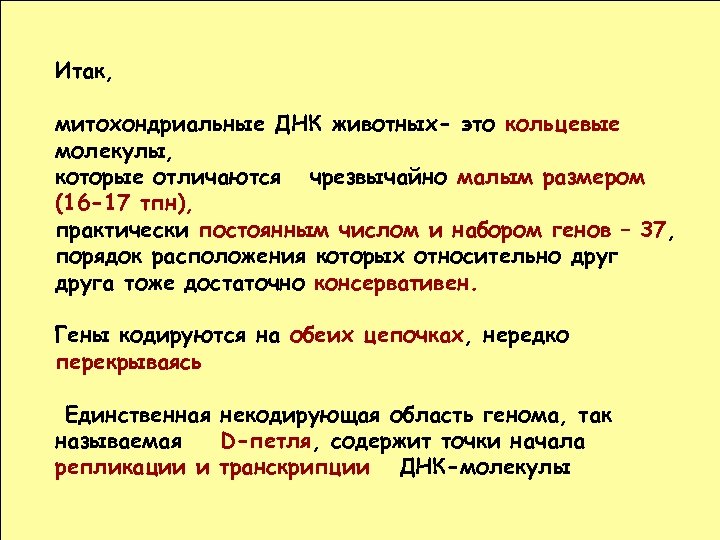 Итак, митохондриальные ДНК животных- это кольцевые молекулы, которые отличаются чрезвычайно малым размером (16 -17