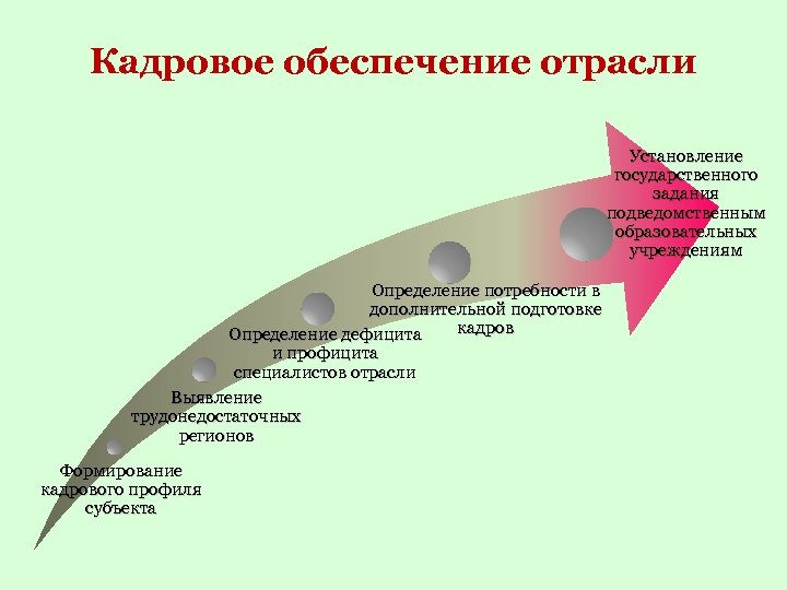 Кадровое обеспечение отрасли Установление государственного задания подведомственным образовательных учреждениям Определение потребности в дополнительной подготовке