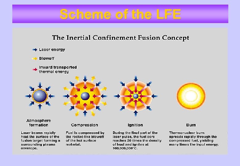 Scheme of the LFE 