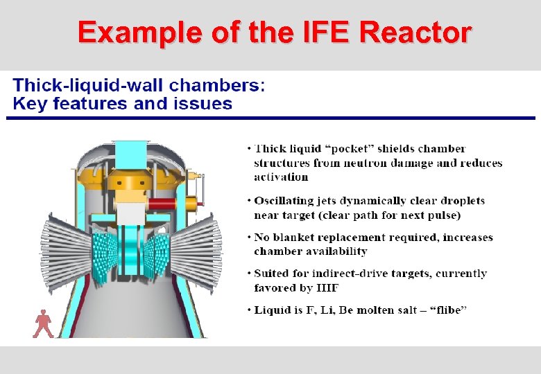 Example of the IFE Reactor 