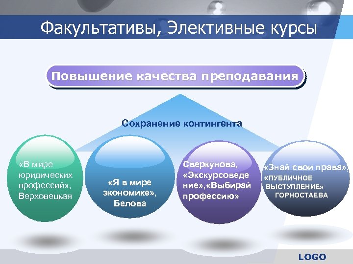 Факультативы, Элективные курсы Повышение качества преподавания Сохранение контингента «В мире юридических профессий» , Верховецкая