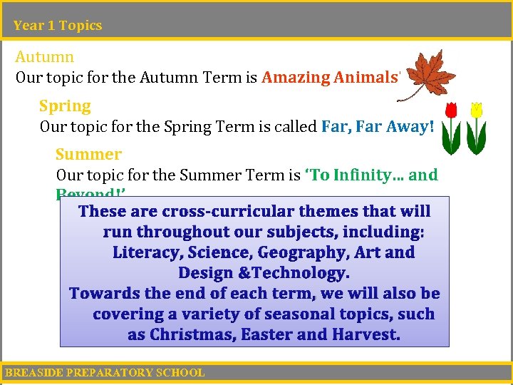 Year 1 Topics Autumn Our topic for the Autumn Term is Amazing Animals! Spring