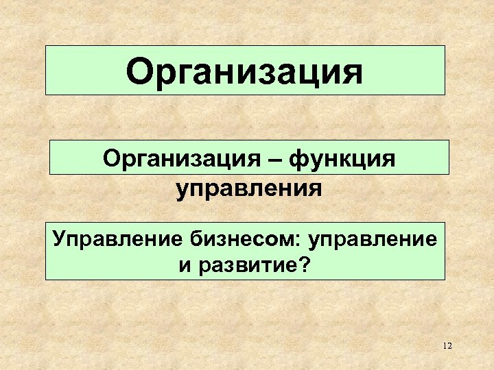 Организация – функция управления Управление бизнесом: управление и развитие? 12 