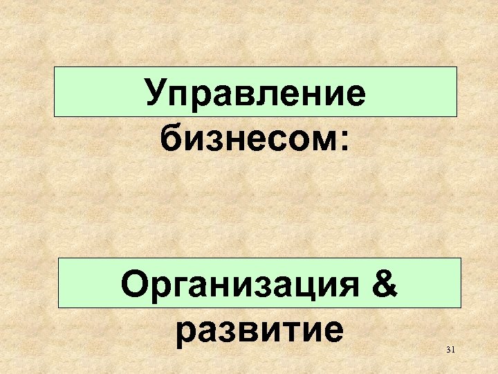 Управление бизнесом: Организация & развитие 31 
