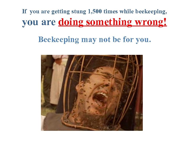 If you are getting stung 1, 500 times while beekeeping, you are doing something