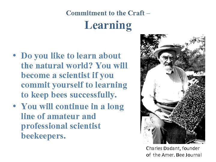 Commitment to the Craft – Learning • Do you like to learn about the