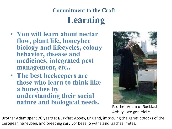 Commitment to the Craft – Learning • You will learn about nectar flow, plant