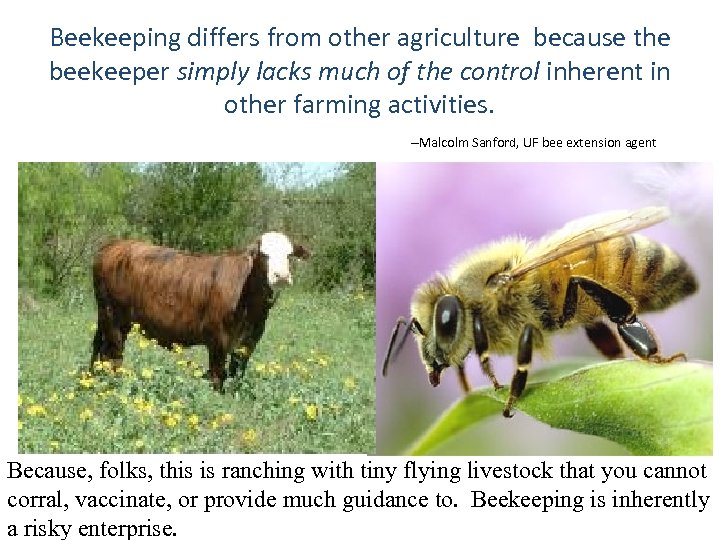 Beekeeping differs from other agriculture because the beekeeper simply lacks much of the control