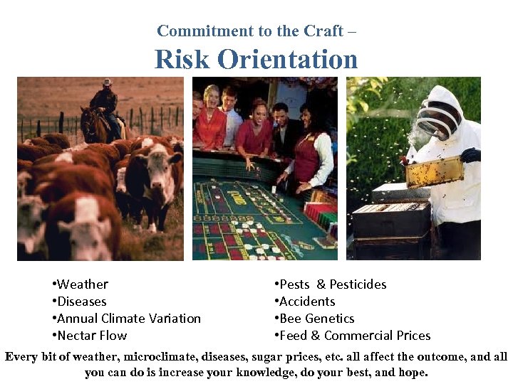 Commitment to the Craft – Risk Orientation • Weather • Diseases • Annual Climate