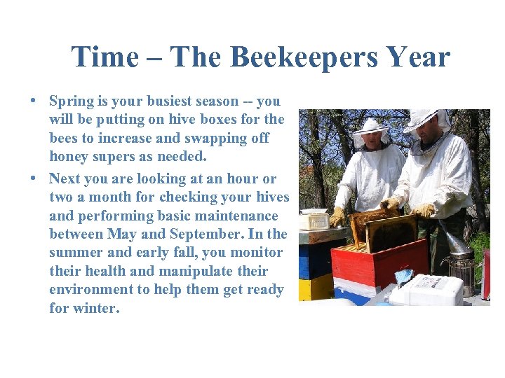 Time – The Beekeepers Year • Spring is your busiest season -- you will