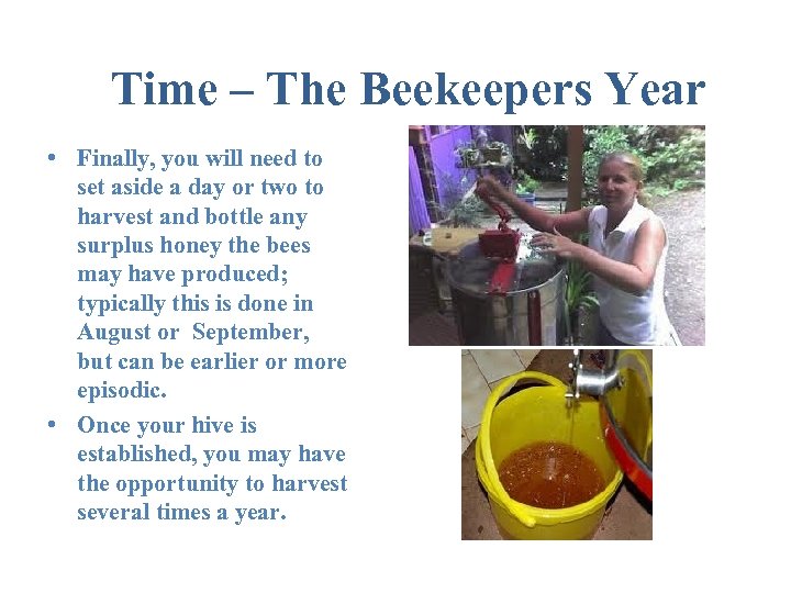 Time – The Beekeepers Year • Finally, you will need to set aside a