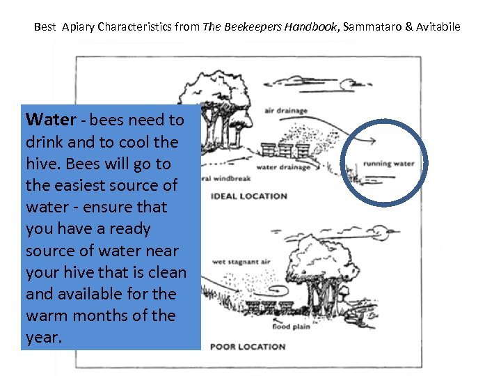 Best Apiary Characteristics from The Beekeepers Handbook, Sammataro & Avitabile Water - bees need