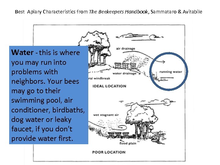 Best Apiary Characteristics from The Beekeepers Handbook, Sammataro & Avitabile Water - this is