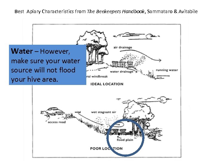 Best Apiary Characteristics from The Beekeepers Handbook, Sammataro & Avitabile Water – However, make