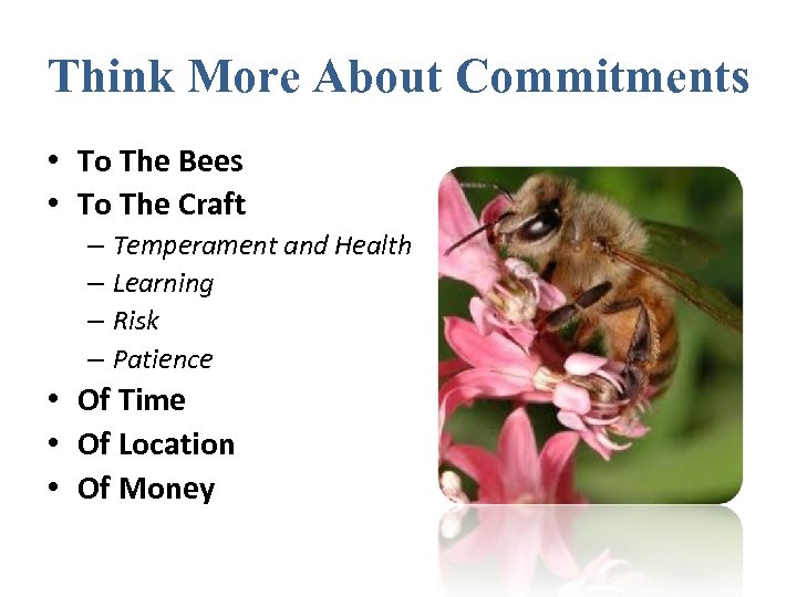 Think More About Commitments • To The Bees • To The Craft – Temperament