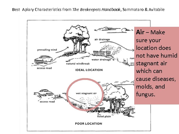 Best Apiary Characteristics from The Beekeepers Handbook, Sammataro & Avitabile Air – Make sure