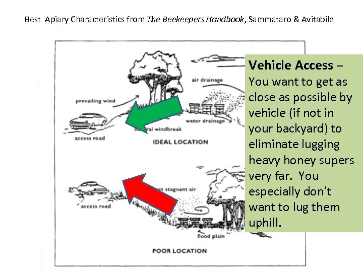 Best Apiary Characteristics from The Beekeepers Handbook, Sammataro & Avitabile Vehicle Access – You