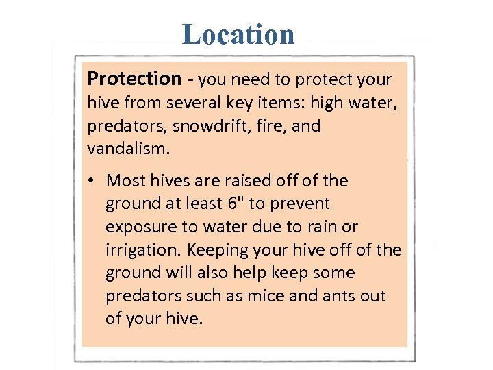 Location Protection - you need to protect your hive from several key items: high