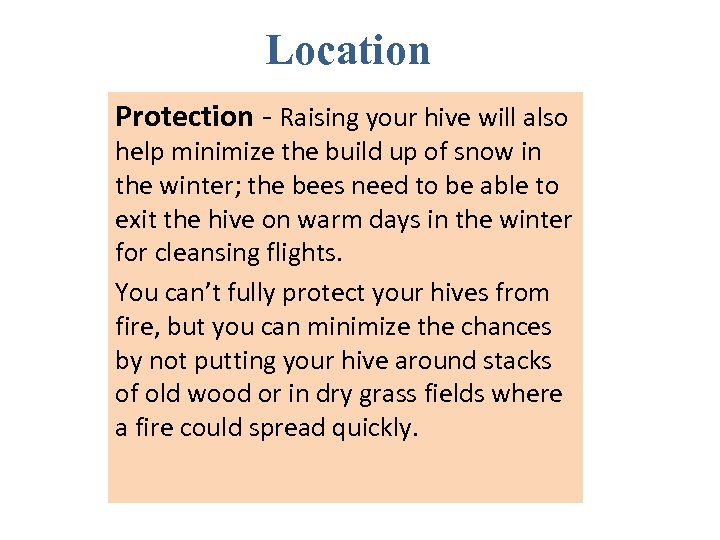 Location Protection - Raising your hive will also help minimize the build up of