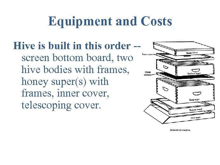 Equipment and Costs Hive is built in this order -screen bottom board, two hive