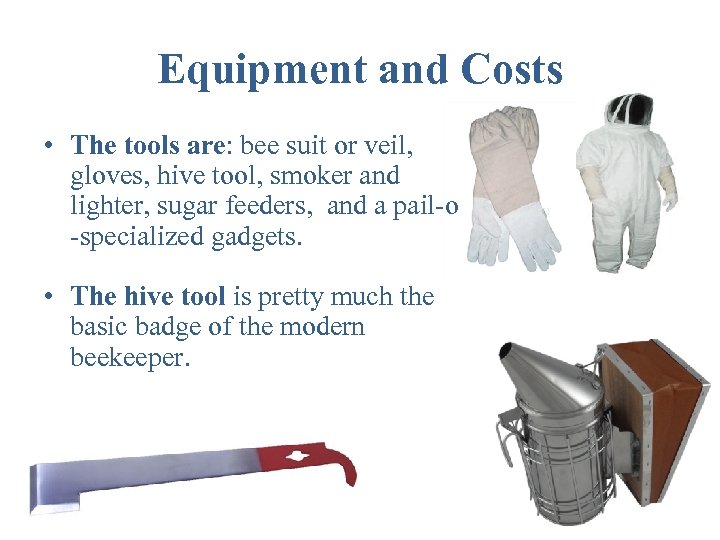 Equipment and Costs • The tools are: bee suit or veil, gloves, hive tool,