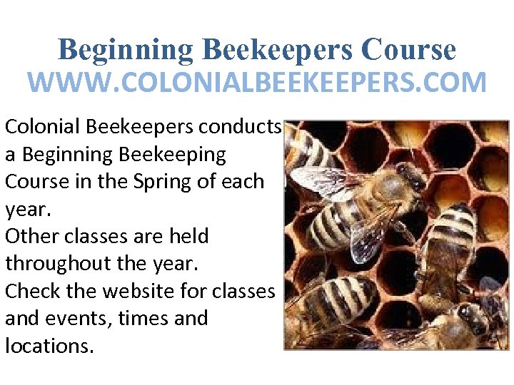 Beginning Beekeepers Course WWW. COLONIALBEEKEEPERS. COM Colonial Beekeepers conducts a Beginning Beekeeping Course in