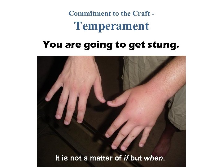 Commitment to the Craft - Temperament You are going to get stung. It is