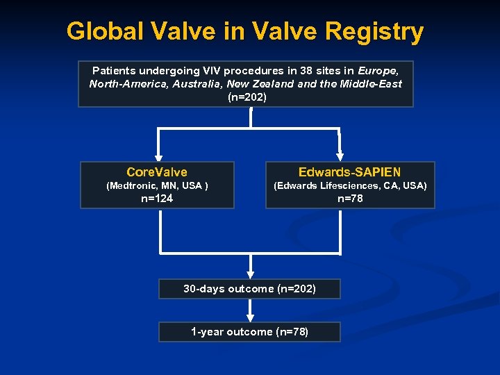 Global Valve in Valve Registry Patients undergoing VIV procedures in 38 sites in Europe,