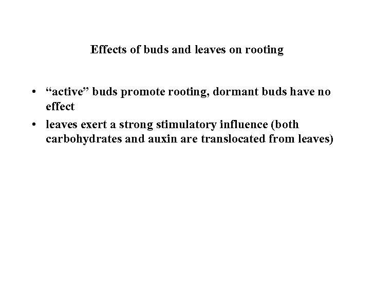 Effects of buds and leaves on rooting • “active” buds promote rooting, dormant buds