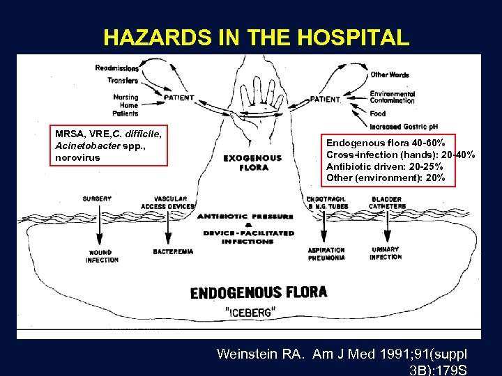 HAZARDS IN THE HOSPITAL MRSA, VRE, C. difficile, Acinetobacter spp. , norovirus Endogenous flora