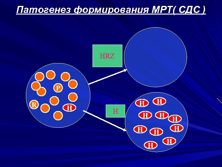 Патогенез формирования МРТ( СДС ) HRZ P R Н H Н Н Н Н