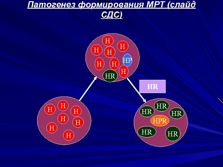 Патогенез формирования МРТ (слайд СДС) H H H HP H HR HR H H