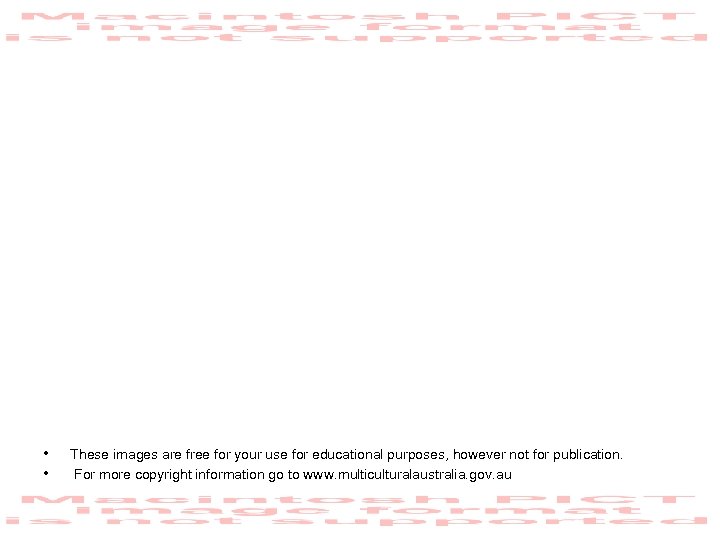  • • These images are free for your use for educational purposes, however