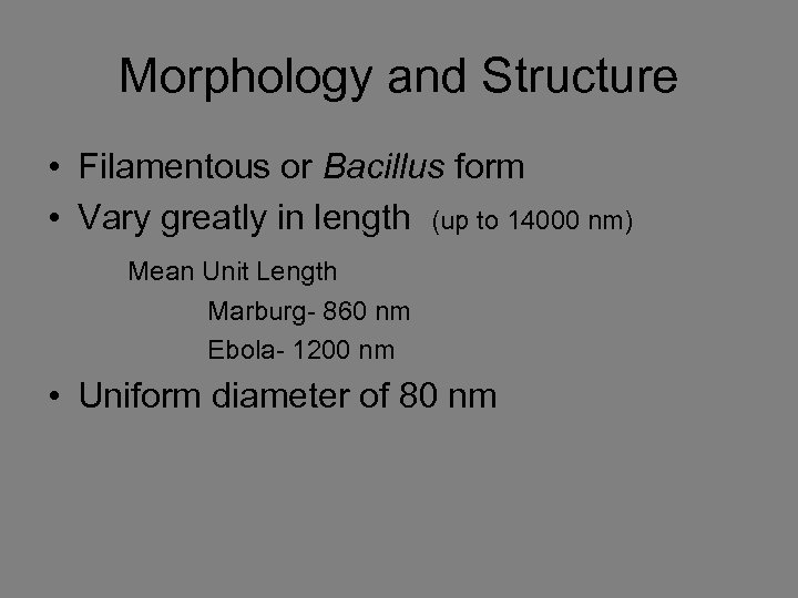 Morphology and Structure • Filamentous or Bacillus form • Vary greatly in length (up