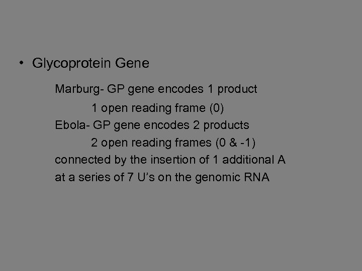  • Glycoprotein Gene Marburg- GP gene encodes 1 product 1 open reading frame
