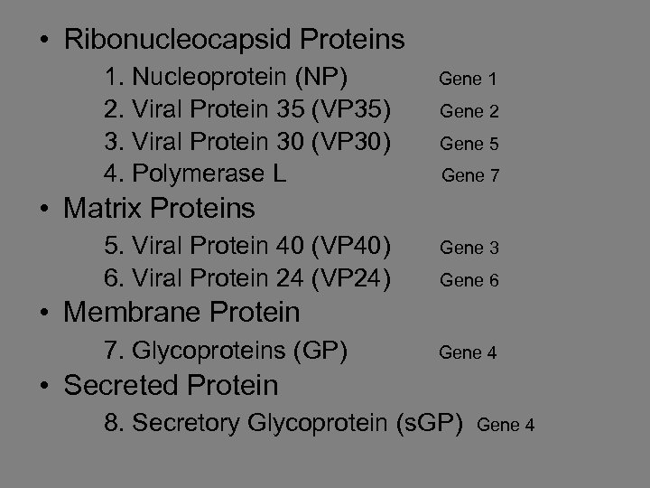  • Ribonucleocapsid Proteins 1. Nucleoprotein (NP) Gene 1 2. Viral Protein 35 (VP