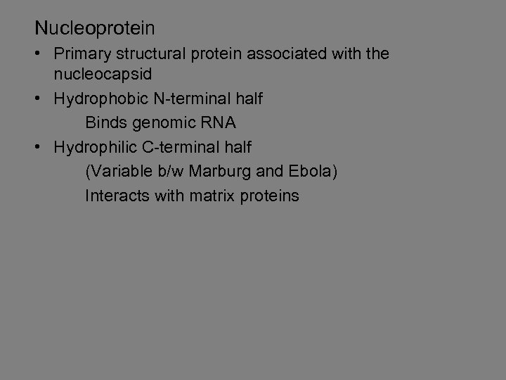 Nucleoprotein • Primary structural protein associated with the nucleocapsid • Hydrophobic N-terminal half Binds