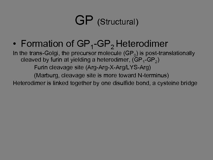 GP (Structural) • Formation of GP 1 -GP 2 Heterodimer In the trans-Golgi, the
