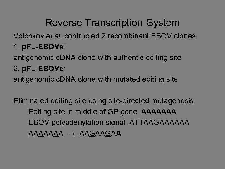 Reverse Transcription System Volchkov et al. contructed 2 recombinant EBOV clones 1. p. FL-EBOVe+