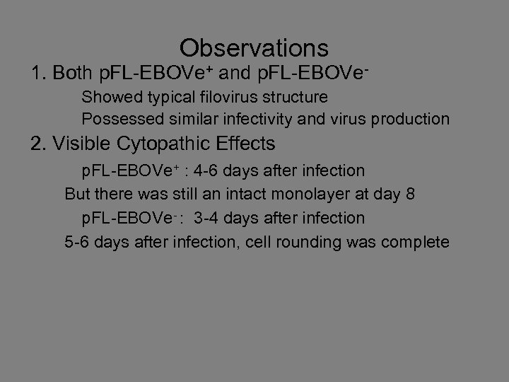 Observations 1. Both p. FL-EBOVe+ and p. FL-EBOVe Showed typical filovirus structure Possessed similar