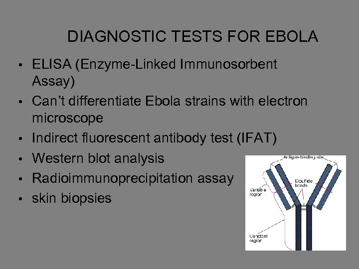  • • • DIAGNOSTIC TESTS FOR EBOLA ELISA (Enzyme-Linked Immunosorbent Assay) Can’t differentiate
