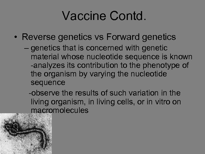 Vaccine Contd. • Reverse genetics vs Forward genetics – genetics that is concerned with