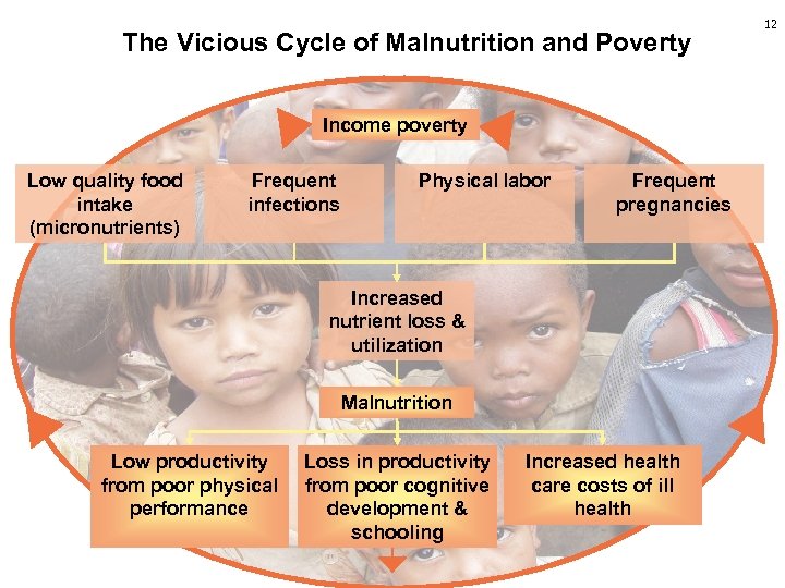 The Vicious Cycle of Malnutrition and Poverty Income poverty Low quality food intake (micronutrients)