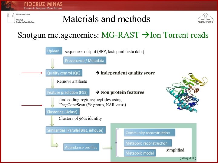 Materials and methods Shotgun metagenomics: MG-RAST Ion Torrent reads (Glass, 2010) 