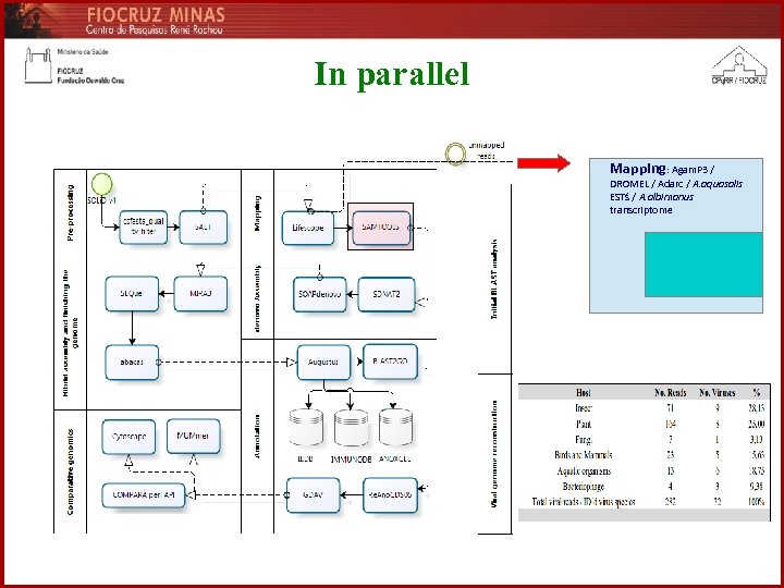 In parallel Mapping: Agam. P 3 / DROMEL / Adarc / A. aquasalis ESTś