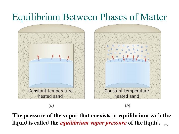 Equilibrium Between Phases of Matter The pressure of the vapor that coexists in equilibrium