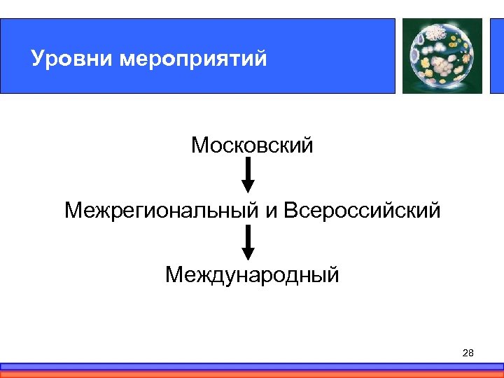 Уровни мероприятий Московский Межрегиональный и Всероссийский Международный 28 