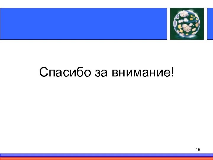Спасибо за внимание! 49 