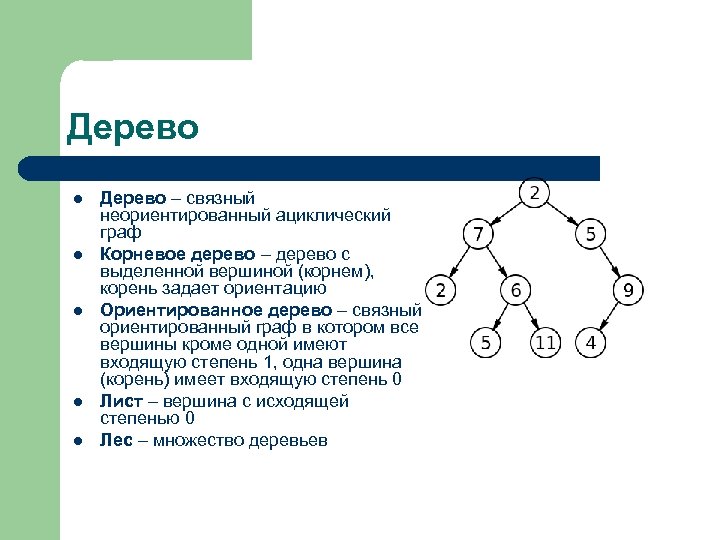 Вершина корень. Связный Граф дерево. Дерево (теория графов). Что такое корень дерева в теории графов. Ориентированный Граф дерево.