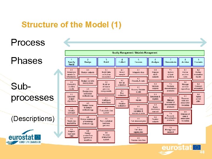 Structure of the Model (1) Process Phases Subprocesses (Descriptions) 48 